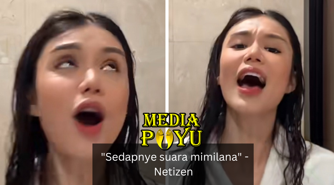 Mediapuyu.com Fdde6e87db2ce138fc0228f0431a567a